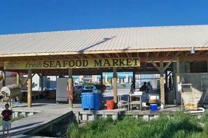 Dine Fresh: Surf City Seafood Restaurants Near You! | Learn to Surf & Skate: A Beginner's Step-by-Step Guide