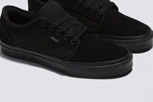 Best Skate Chukka Low Shoes: Style & Performance | Learn to Surf & Skate: A Beginner's Step-by-Step Guide