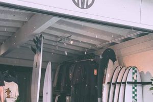 Get Your Grandview Surf Report Today! Learn to Surf & Skate: A Beginner's Step-by-Step Guide Get Your Grandview Surf Report Today! | Learn to Surf & Skate: A Beginner's Step-by-Step Guide