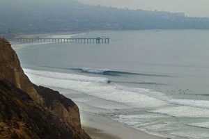 Blacks Beach Surf Stats: A Surfer's Guide to Conditions | Learn to Surf & Skate: A Beginner's Step-by-Step Guide