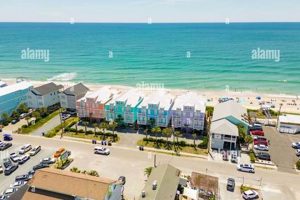 Your Surf City News: Local Waves &amp; Coastal Life | Learn to Surf & Skate: A Beginner's Step-by-Step Guide