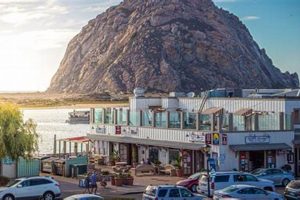 Morro Bay CA Surf Shops Guide: Rentals & More | Learn to Surf & Skate: A Beginner's Step-by-Step Guide