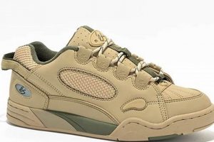 Why Tan Skate Shoes? Style &amp; Durability Guide | Learn to Surf & Skate: A Beginner's Step-by-Step Guide