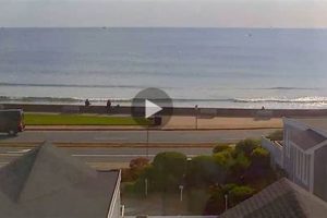 Surf's Up! Warm Winds Surf Cam: Your Beach Report Learn to Surf & Skate: A Beginner's Step-by-Step Guide Surf's Up! Warm Winds Surf Cam: Your Beach Report | Learn to Surf & Skate: A Beginner's Step-by-Step Guide