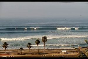 Your Cardiff Reef Surf Report: [Conditions Today] | Learn to Surf & Skate: A Beginner's Step-by-Step Guide