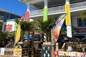 Your Guide to Malibu's Surf Shop in Ocean City, MD | Learn to Surf & Skate: A Beginner's Step-by-Step Guide