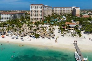 Aruba Surf Club Marriott: Beachfront Bliss &amp; Tips | Learn to Surf & Skate: A Beginner's Step-by-Step Guide