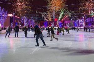 Rosemont Ice Rink: Skate & Enjoy! | Learn to Surf & Skate: A Beginner's Step-by-Step Guide