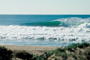 Stinson Beach Surf Report: Your [Updated] Wave Guide | Learn to Surf & Skate: A Beginner's Step-by-Step Guide