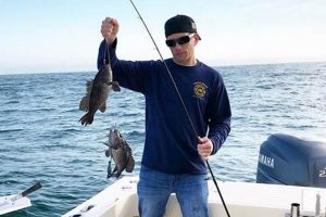 NJ Surf Fishing Report: Hot Spots & Latest Catches Learn to Surf & Skate: A Beginner's Step-by-Step Guide NJ Surf Fishing Report: Hot Spots & Latest Catches | Learn to Surf & Skate: A Beginner's Step-by-Step Guide