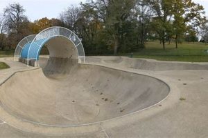 Lancaster Skate Park: Ride On! Tricks, Tips & Fun | Learn to Surf & Skate: A Beginner's Step-by-Step Guide