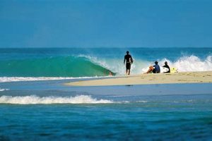 Live Palmetto Surf Cam Views: Beach Conditions Now | Learn to Surf & Skate: A Beginner's Step-by-Step Guide