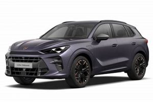 Terramar Surf Report: Get Today's Surf Conditions | Learn to Surf & Skate: A Beginner's Step-by-Step Guide