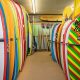 Your Guide to Maverick Surf Shop | Find Gear & More | Learn to Surf & Skate: A Beginner's Step-by-Step Guide