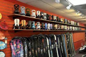 Your Local Funtastik Skate & Snowboard Shop Gear & More! | Learn to Surf & Skate: A Beginner's Step-by-Step Guide