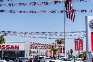 Surf City Nissan: Huntington Beach CA Deals & Service | Learn to Surf & Skate: A Beginner's Step-by-Step Guide