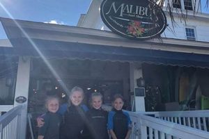 Your Guide to Malibu Surf Shop MD | Gear & More | Learn to Surf & Skate: A Beginner's Step-by-Step Guide