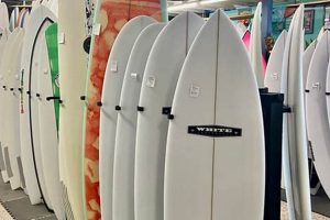 Your Daytona Board Store Surf Shop Guide | Gear & More | Learn to Surf & Skate: A Beginner's Step-by-Step Guide