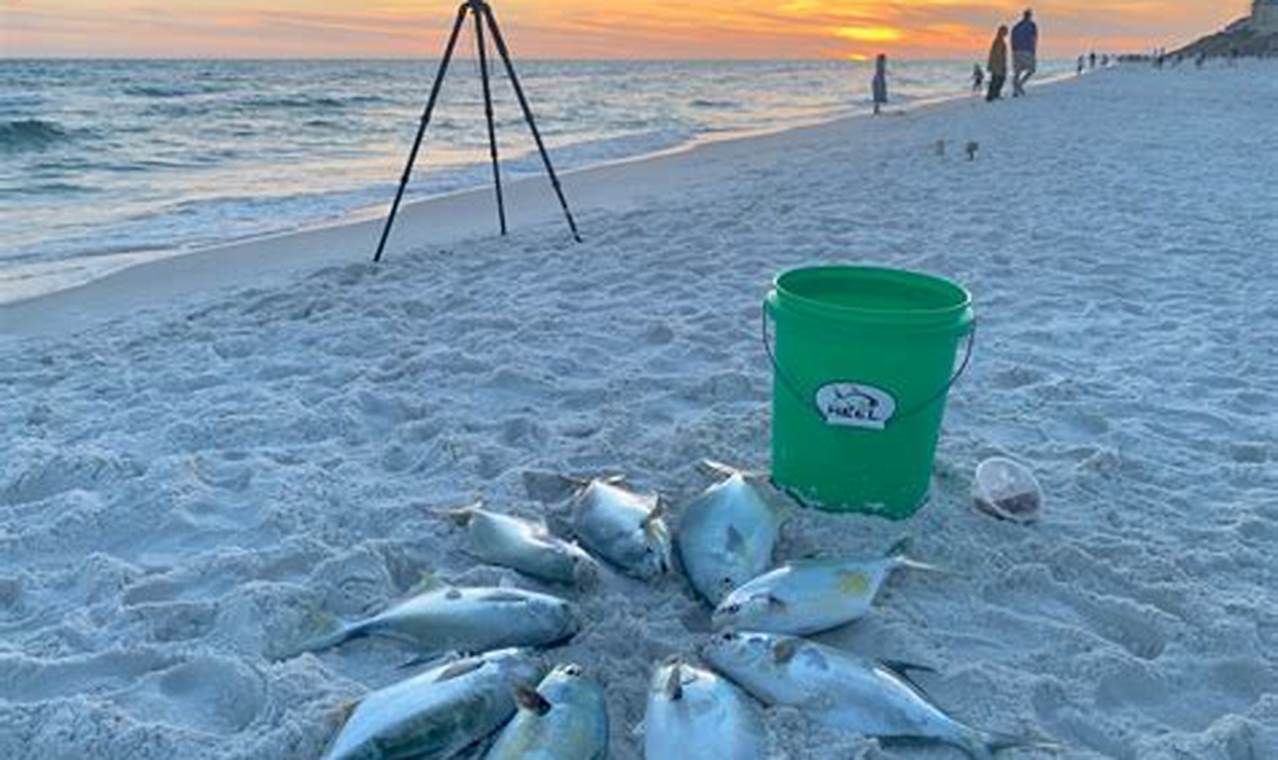 Your Guide: Surf Fishing Panama City Beach Spots & Tips | Learn to Surf & Skate: A Beginner's Step-by-Step Guide