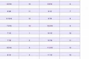 Riedell Figure Skate Sizing Guide: Get the Perfect Fit! | Learn to Surf & Skate: A Beginner's Step-by-Step Guide