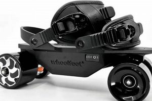 Best Motorized Roller Skates: Reviews & Buying Guide | Learn to Surf & Skate: A Beginner's Step-by-Step Guide