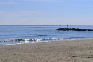 Live Bay Head NJ Surf Cam: Check Conditions Now! | Learn to Surf & Skate: A Beginner's Step-by-Step Guide