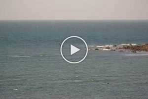 Watch Point Judith Surf Cam Live: RI Waves & Conditions Learn to Surf & Skate: A Beginner's Step-by-Step Guide Watch Point Judith Surf Cam Live: RI Waves & Conditions | Learn to Surf & Skate: A Beginner's Step-by-Step Guide