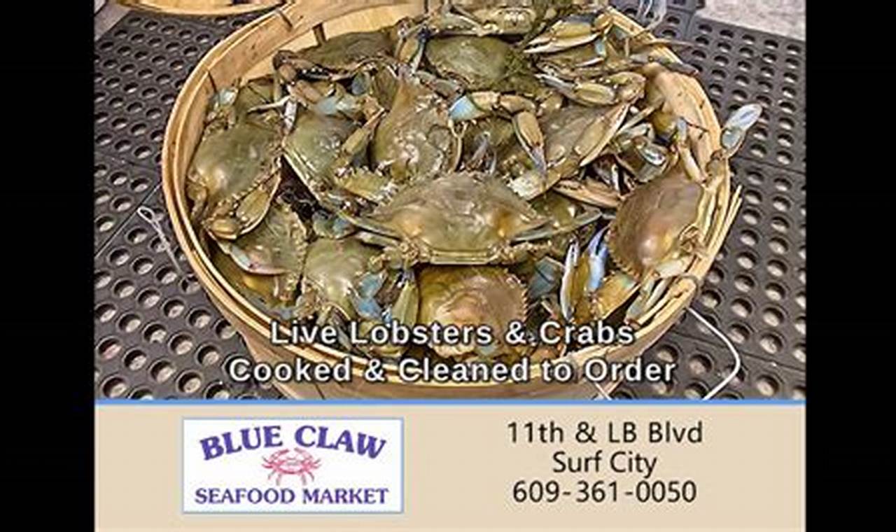 Discover Blue Claw Surf City: Your Coastal Paradise! | Learn to Surf & Skate: A Beginner's Step-by-Step Guide