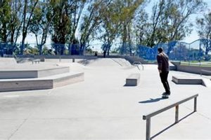 Centennial Skate Park: Ride the Best! Learn to Surf & Skate: A Beginner's Step-by-Step Guide Centennial Skate Park: Ride the Best! | Learn to Surf & Skate: A Beginner's Step-by-Step Guide