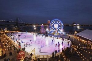 Discover Ice Skate Philly: Rinks & More! | Learn to Surf & Skate: A Beginner's Step-by-Step Guide
