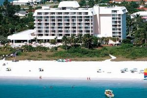 Discover Marco Island's Surf Club Scene | [Surf Club] | Learn to Surf & Skate: A Beginner's Step-by-Step Guide