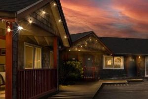 Oregon's Surf and Sand: Pacific City Beach Guide | Learn to Surf & Skate: A Beginner's Step-by-Step Guide