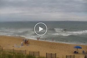 Live Nags Head NC Surf Cam: See the Waves! | Learn to Surf & Skate: A Beginner's Step-by-Step Guide