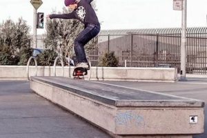 Best San Francisco Skate Parks: Your Local Guide | Learn to Surf & Skate: A Beginner's Step-by-Step Guide