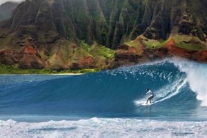 Kauai Surf Report Today: Waves &amp; Conditions Now | Learn to Surf & Skate: A Beginner's Step-by-Step Guide