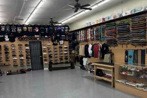 Your Local Blvd Skate Shop: Gear & More! | Learn to Surf & Skate: A Beginner's Step-by-Step Guide