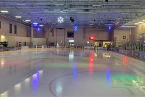 Ice Den Scottsdale Open Skate: Fun for All! | Learn to Surf & Skate: A Beginner's Step-by-Step Guide