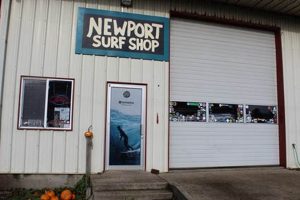 Your Newport Surf Shop: Gear, Rentals & Local Experts! | Learn to Surf & Skate: A Beginner's Step-by-Step Guide
