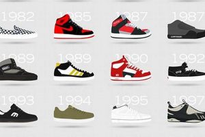 Best Skate Brand Shoes: Styles & Durability You Need! | Learn to Surf & Skate: A Beginner's Step-by-Step Guide