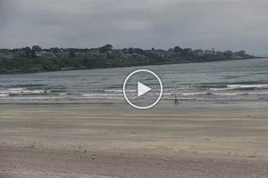 Long Sands Beach Surf Report: Your Surf Beach Guide | Learn to Surf & Skate: A Beginner's Step-by-Step Guide