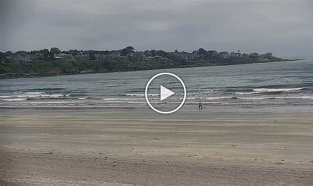 Long Sands Beach Surf Report: Your Surf Beach Guide | Learn to Surf & Skate: A Beginner's Step-by-Step Guide