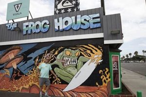 Your Guide to Frog House Surf Shop Newport RI | Learn to Surf & Skate: A Beginner's Step-by-Step Guide