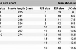 Find the Best Size 13 Skate Shoes: Styles & Reviews | Learn to Surf & Skate: A Beginner's Step-by-Step Guide