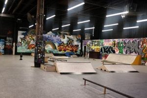 Rehab Skate Park: Substance Skate Park Haven + Tips | Learn to Surf & Skate: A Beginner's Step-by-Step Guide