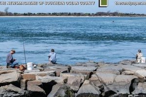 Surf City Sandpaper: NJ's Abrasive Solution | Learn to Surf & Skate: A Beginner's Step-by-Step Guide