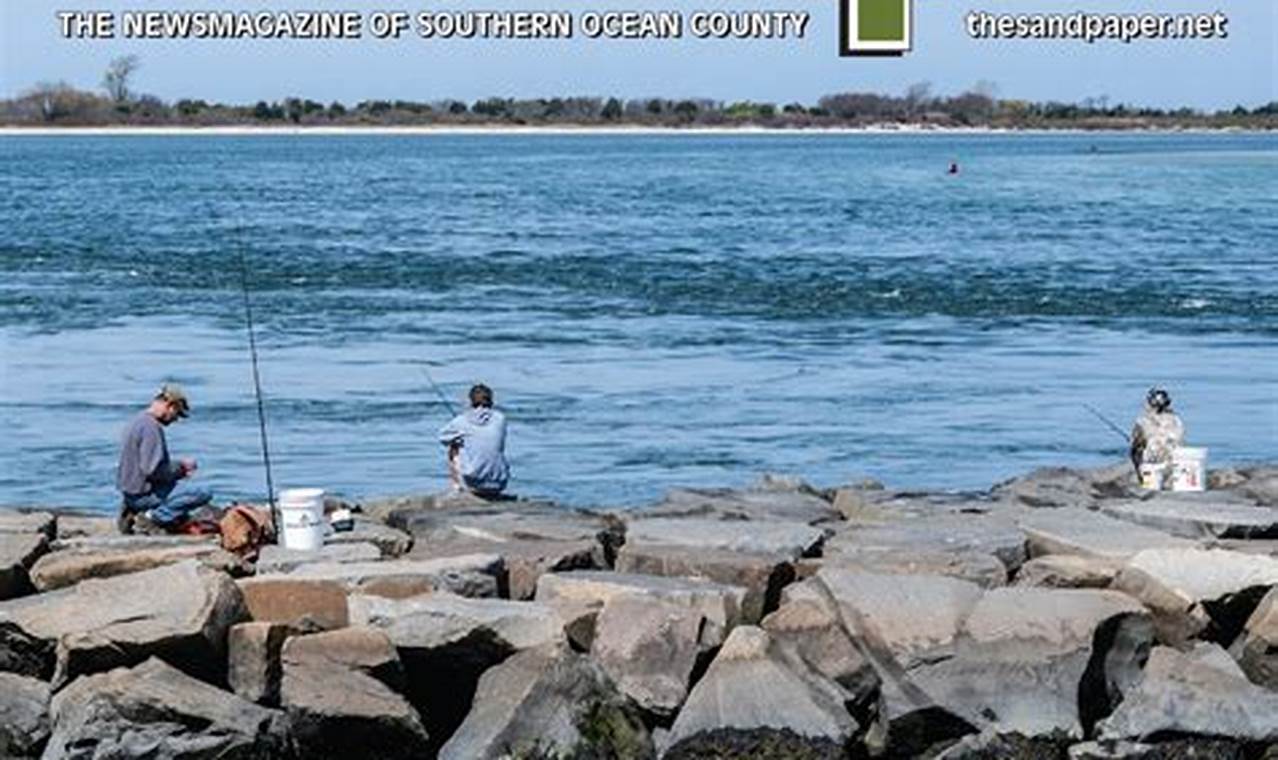 Surf City Sandpaper: NJ's Abrasive Solution | Learn to Surf & Skate: A Beginner's Step-by-Step Guide