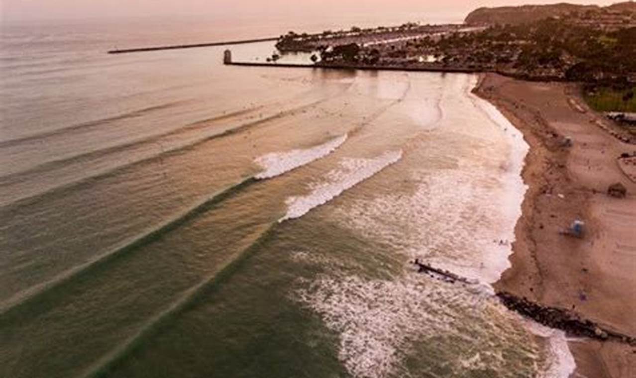 Your Guide: Doheny Beach Surf Conditions & More | Learn to Surf & Skate: A Beginner's Step-by-Step Guide