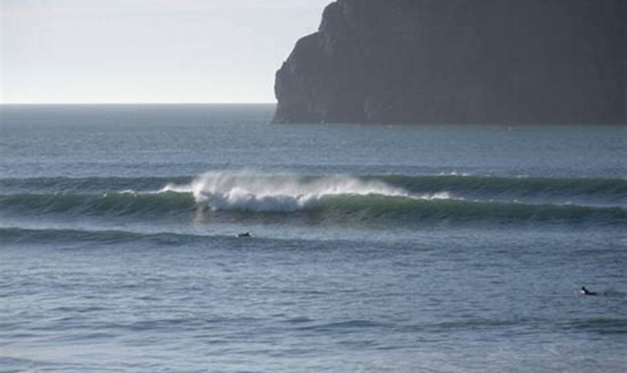Your Surf City Forecast: Waves &amp; Weather Today! | Learn to Surf & Skate: A Beginner's Step-by-Step Guide