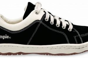 Best Simple Skate Shoes: Ride in Style! | Learn to Surf & Skate: A Beginner's Step-by-Step Guide