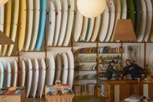 Your Guide to Mollusk Surf Shop Gear + More! | Learn to Surf & Skate: A Beginner's Step-by-Step Guide